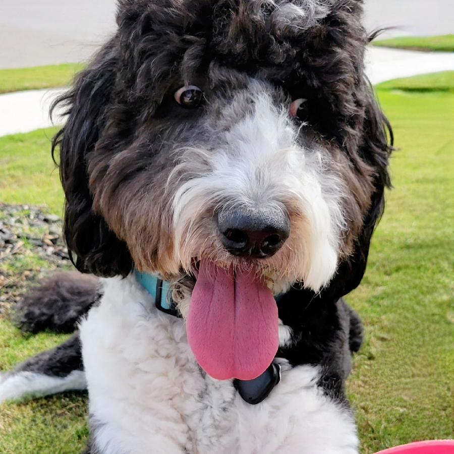 Duke excited for treats